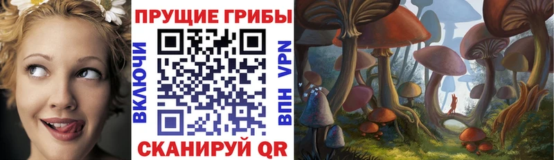 Псилоцибиновые грибы мицелий  Ясный 