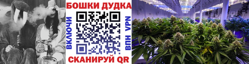 Каннабис MAZAR  Ясный 